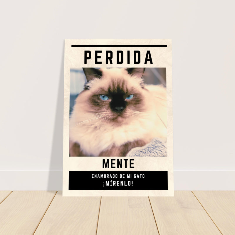 Póster Prémium de Avisos Personalizados de Gatos Gelato