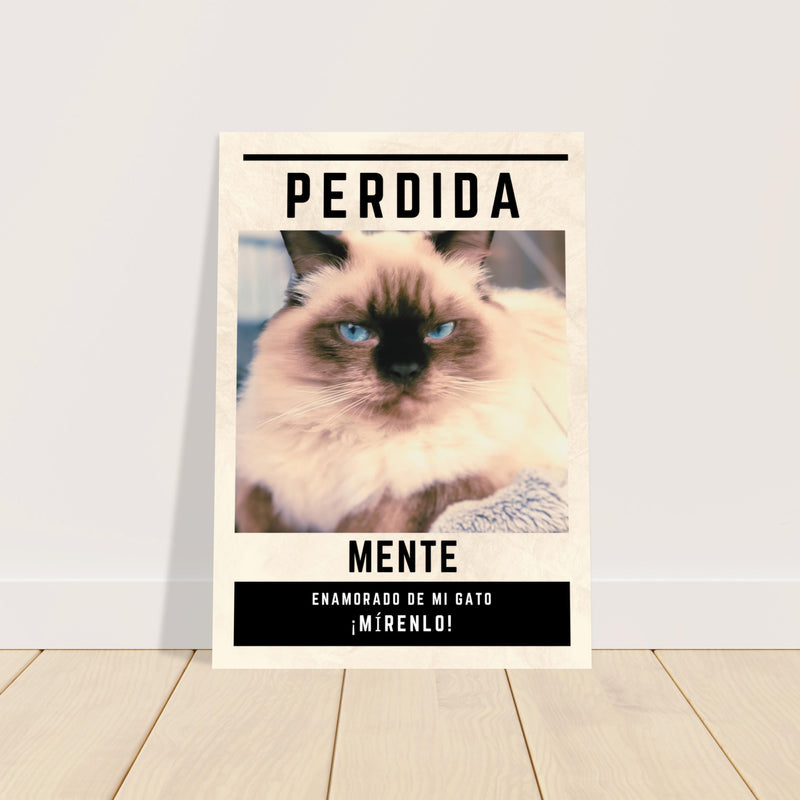 Póster Prémium de Avisos Personalizados de Gatos Gelato