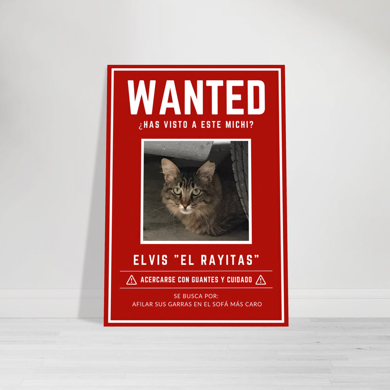 Póster Prémium de Avisos Personalizados de Gatos Gelato