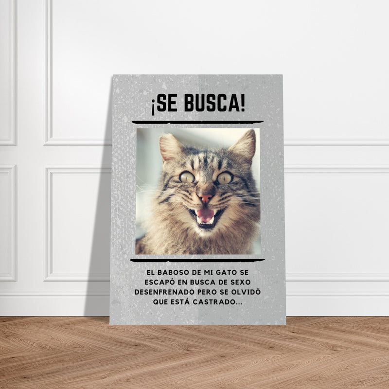 Póster Prémium de Avisos Personalizados de Gatos Gelato