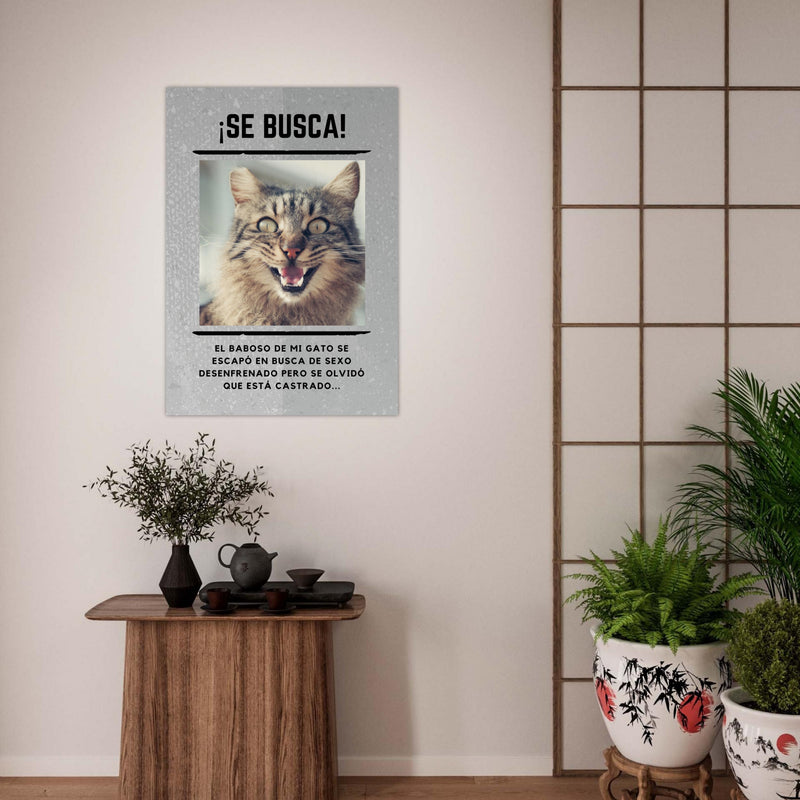 Póster Prémium de Avisos Personalizados de Gatos Gelato