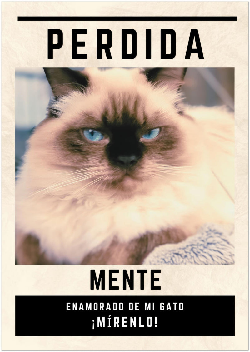 Póster Prémium de Avisos Personalizados de Gatos Gelato