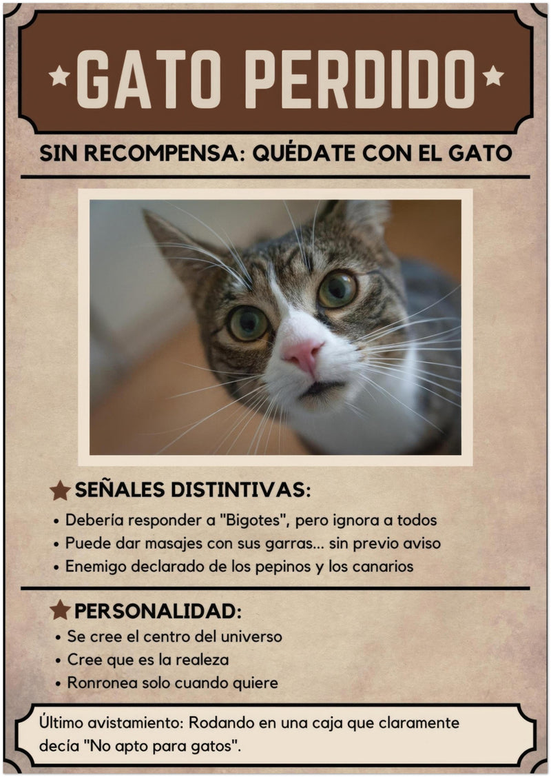 Póster Prémium de Avisos Personalizados de Gatos Gelato