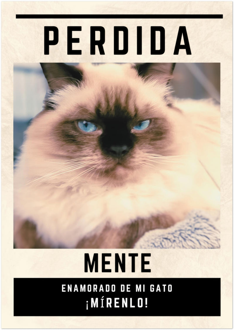 Póster Prémium de Avisos Personalizados de Gatos Gelato