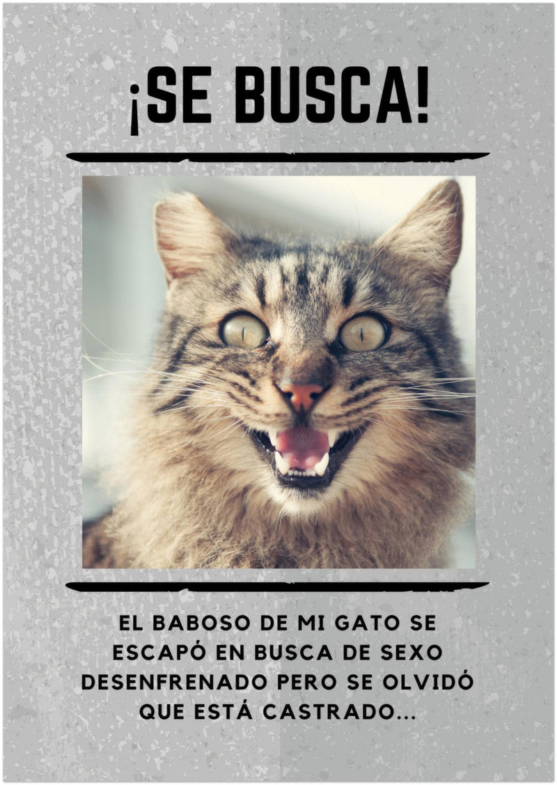 Póster Prémium de Avisos Personalizados de Gatos Gelato