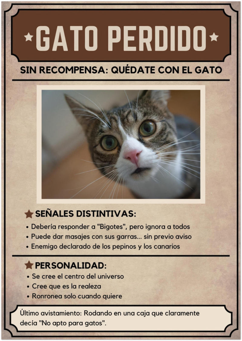 Póster Prémium de Avisos Personalizados de Gatos Gelato