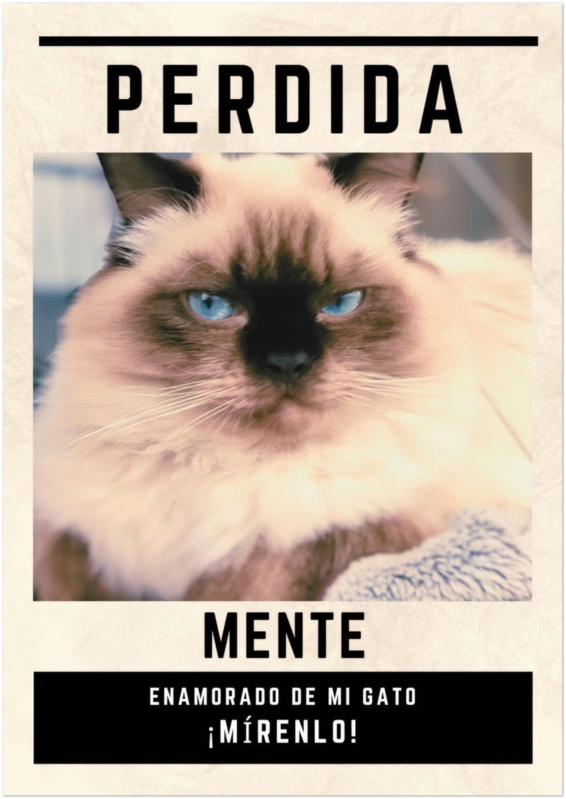 Póster Prémium de Avisos Personalizados de Gatos Gelato