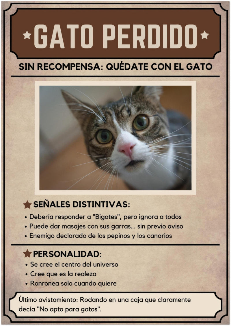 Póster Prémium de Avisos Personalizados de Gatos Gelato