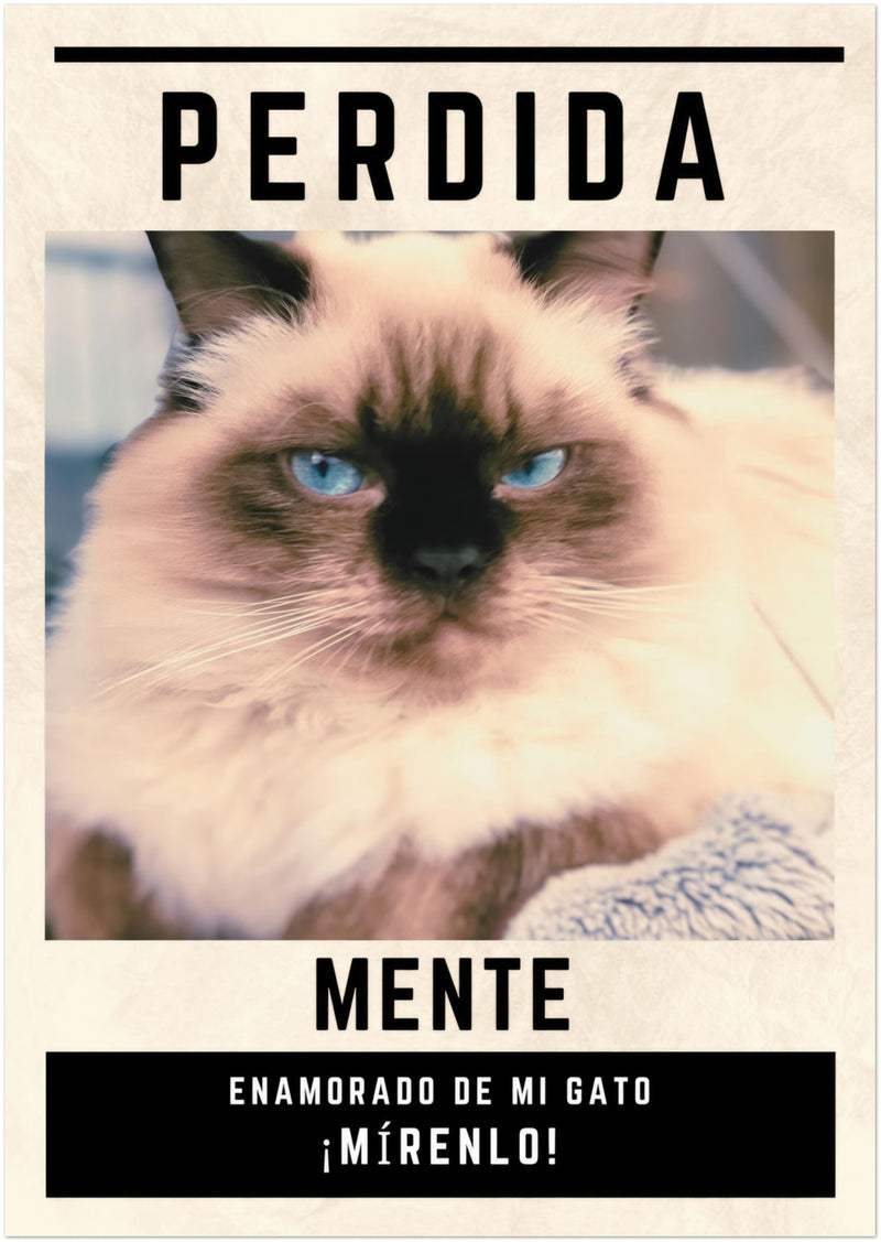 Póster Prémium de Avisos Personalizados de Gatos Gelato