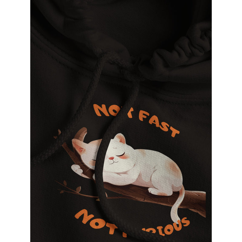 Sudadera con Capucha Unisex Estampado de Gato "Not Fast Not Furious" Michilandia | La tienda online de los fans de gatos