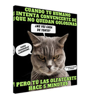 Lienzo de gato "El Detector de Golosinas" 60x60 cm / 24x24″
