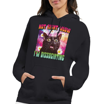 Sudadera con Capucha Unisex Estampado de Gato "Momento de Distancia" Michilandia