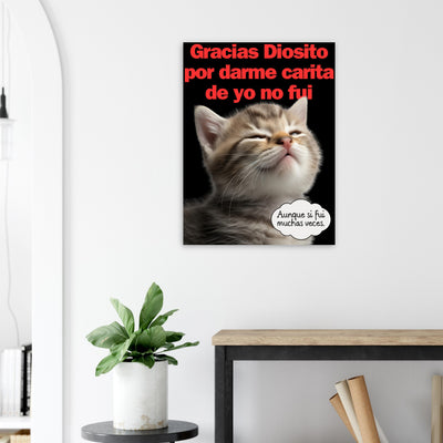 Panel de aluminio impresión de gato "Mirada Culpable" Michilandia | La tienda online de los fans de gatos