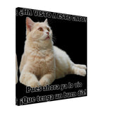 Lienzo de gato "Gato del Día" Michilandia | La tienda online de los fans de gatos