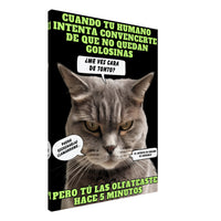 Lienzo de gato "El Detector de Golosinas" 60x80 cm / 24x32″