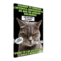 Lienzo de gato "El Detector de Golosinas" 45x60 cm / 18x24″