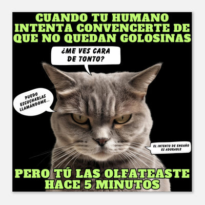 Panel de aluminio impresión de gato "El Detector de Golosinas" Michilandia | La tienda online de los amantes de gatos