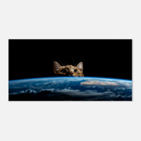 Lienzo de gato "Vigilante del Planeta" Michilandia | La tienda online de los fans de gatos