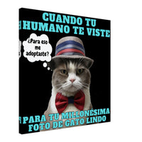 Lienzo de Gato "Modelo Reluctante" Michilandia | La tienda online de los amantes de gatos