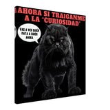 Lienzo de gato "Curiosidad Superada" Michilandia | La tienda online de los fans de gatos