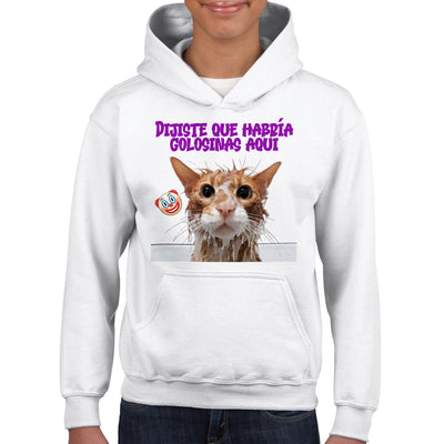 Sudadera con capucha júnior estampado de gato 