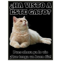 Póster Semibrillante de Gato con Marco Metal "Gato del Día" Michilandia | La tienda online de los fans de gatos