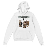 Sudadera con capucha unisex estampado de gato "Banda equivocada" Gelato