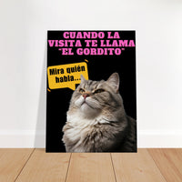 Lienzo de Gato 